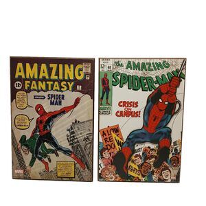 Lot of 2 Spiderman Marvel Wooden Art Wall Decor Hangings Plaques 19x13
